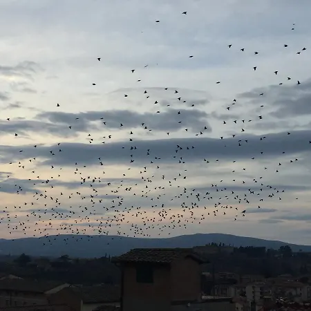 Il Barbero 2* Siena
